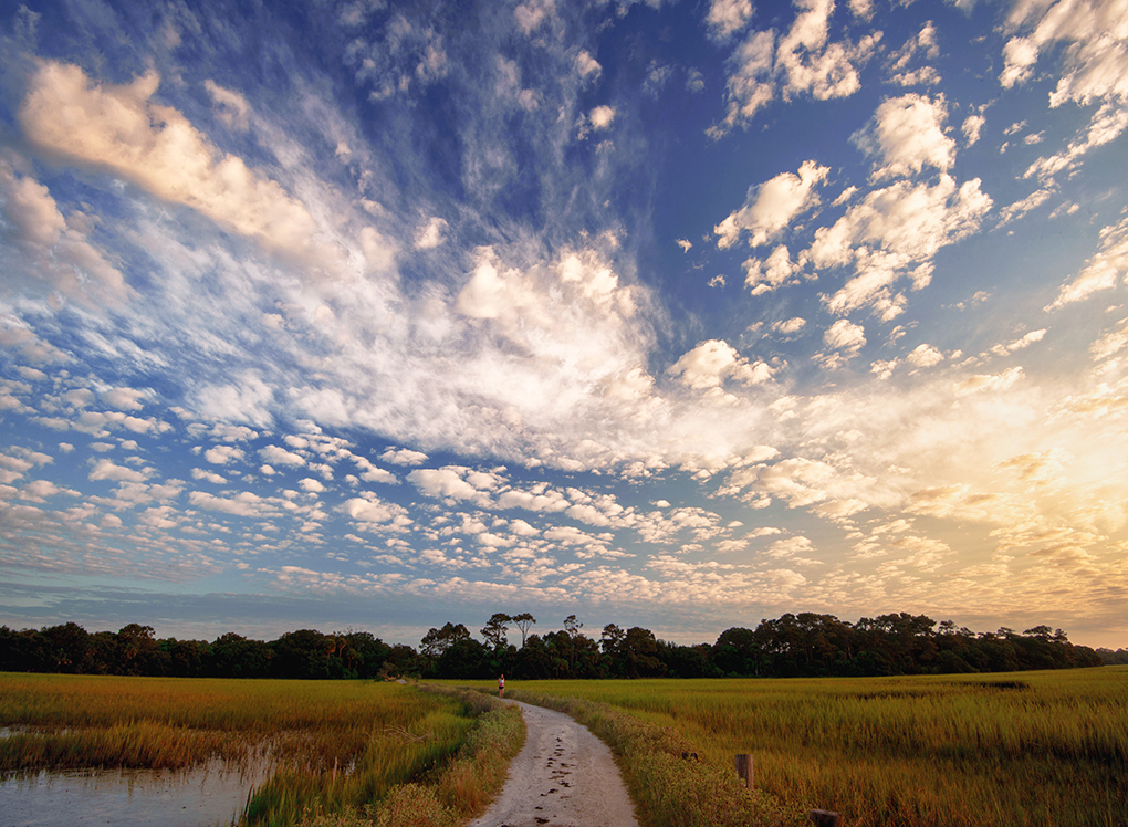 botany-bay-path-for-fb